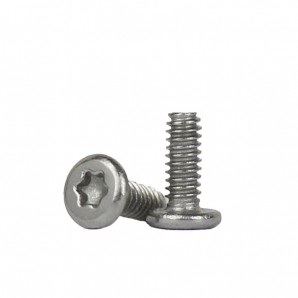 Torxschrauben "T4" 2,85 x 1,4 x 4,3 mm - 100 Stück