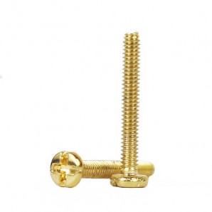 Kreuzschlitzschrauben 1,2 mm Gold 100 Stück