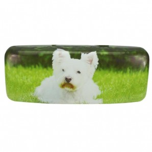 Kinderetui "Pete und Freunde" - Grün Hund