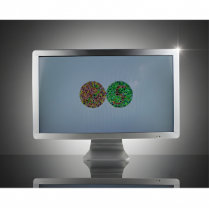 Sehzeichenbildschirm mit Polarisation "2332" (zirkular)