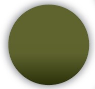 Sonnenschutzgläser CR 39 Grün 75% Basis 6 - 1 Paar