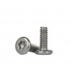 Torxschrauben "T4" 2,85 x 1,4 x 4,3 mm - 100 Stück