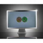 Sehzeichenbildschirm mit Polarisation "2332" (zirkular)