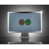 Sehzeichenbildschirm mit Polarisation "2332" (zirkular)